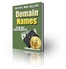 Thumbnail Buying and Selling Domain Names with Private Label Rights 